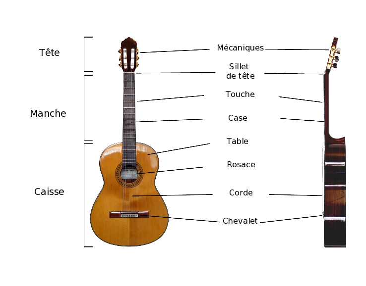 Guitare 1/2 - Guitare d'Étude pour Enfants